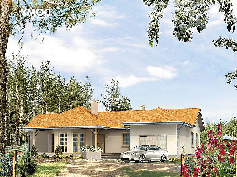 Projekt domu Fraza silka