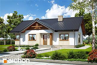Projekt domu Dom w leszczynowcach