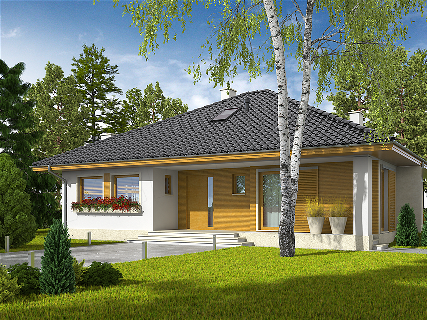 Projekt domu Flori III