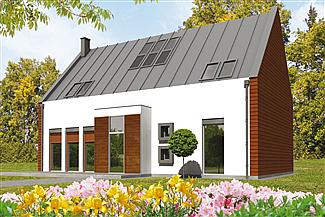 Projekt domu Crayon