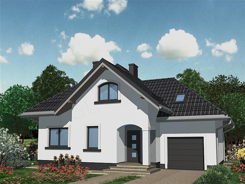 Projekt domu APS 169