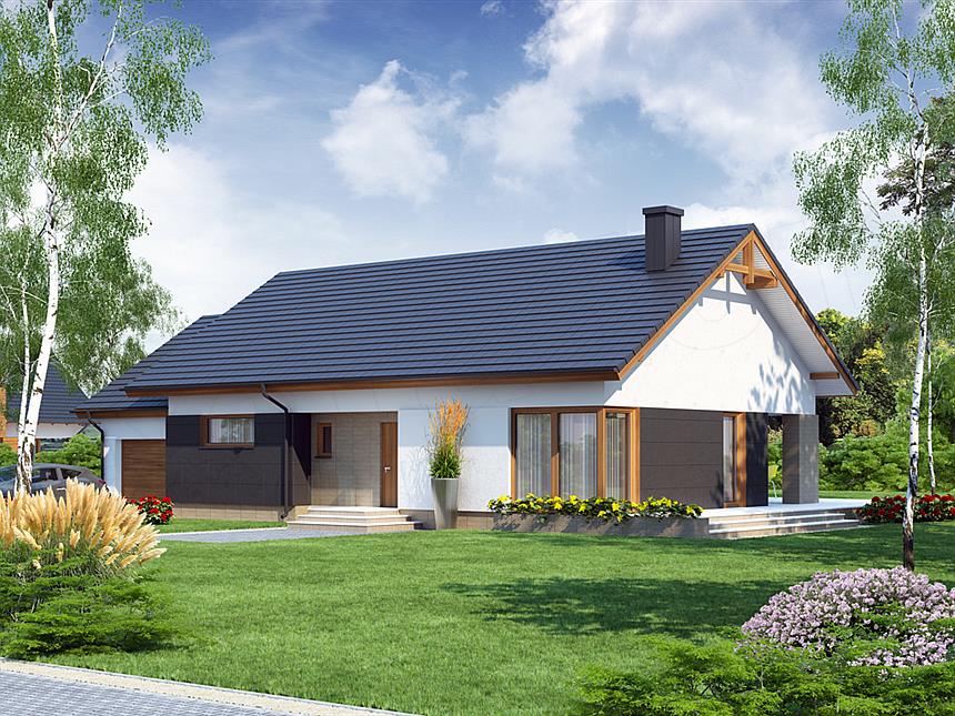 Projekt domu Midas