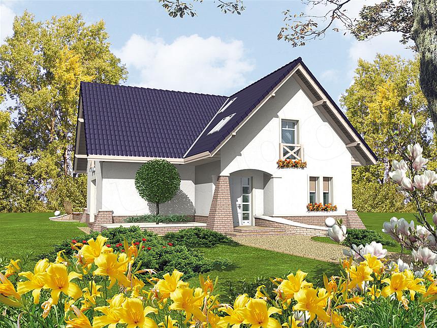 Projekt domu Frania