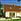 Piwonia Nova WRH1167