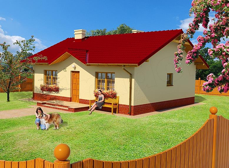 Projekt domu Leśna Równina 60