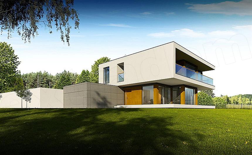Projekt domu Mies I