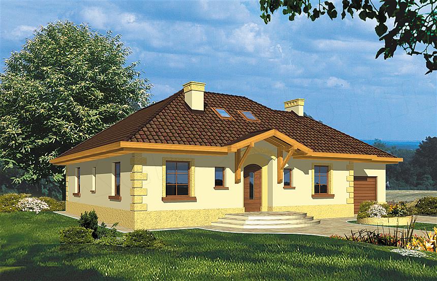 Projekt domu Pegaz I