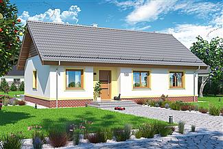 Projekt domu Tamina mała PS