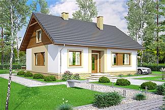 Projekt domu Irys
