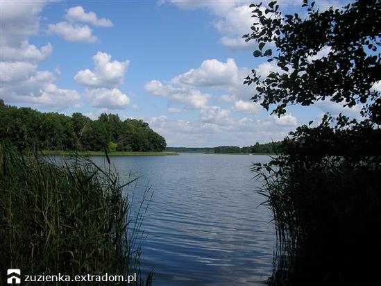 Jezioro Wadąg-dzika zatoka.