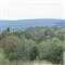 iwona23051