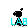 LAB STUDIO