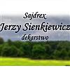 SAJDREX Jerzy Sienkiewicz